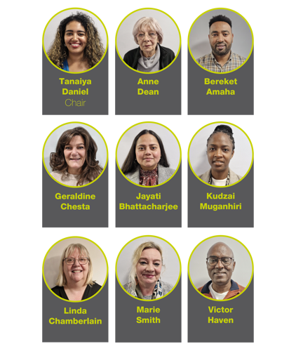 Members of the Housing Assurance Board