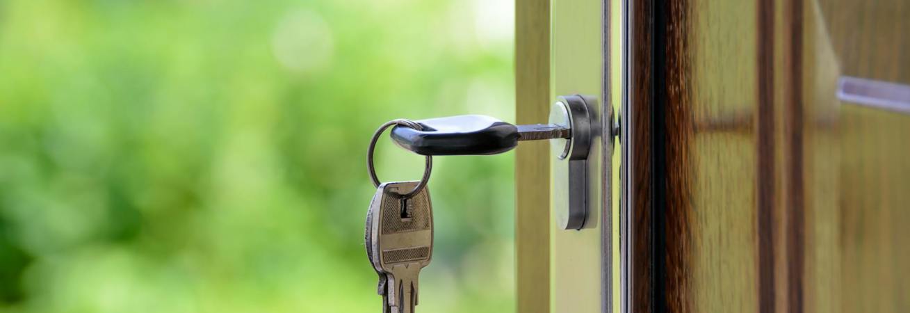 International fraud awareness week