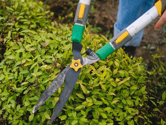 Free garden tool loan