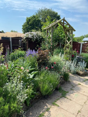 A picture of the Best overall garden category winner